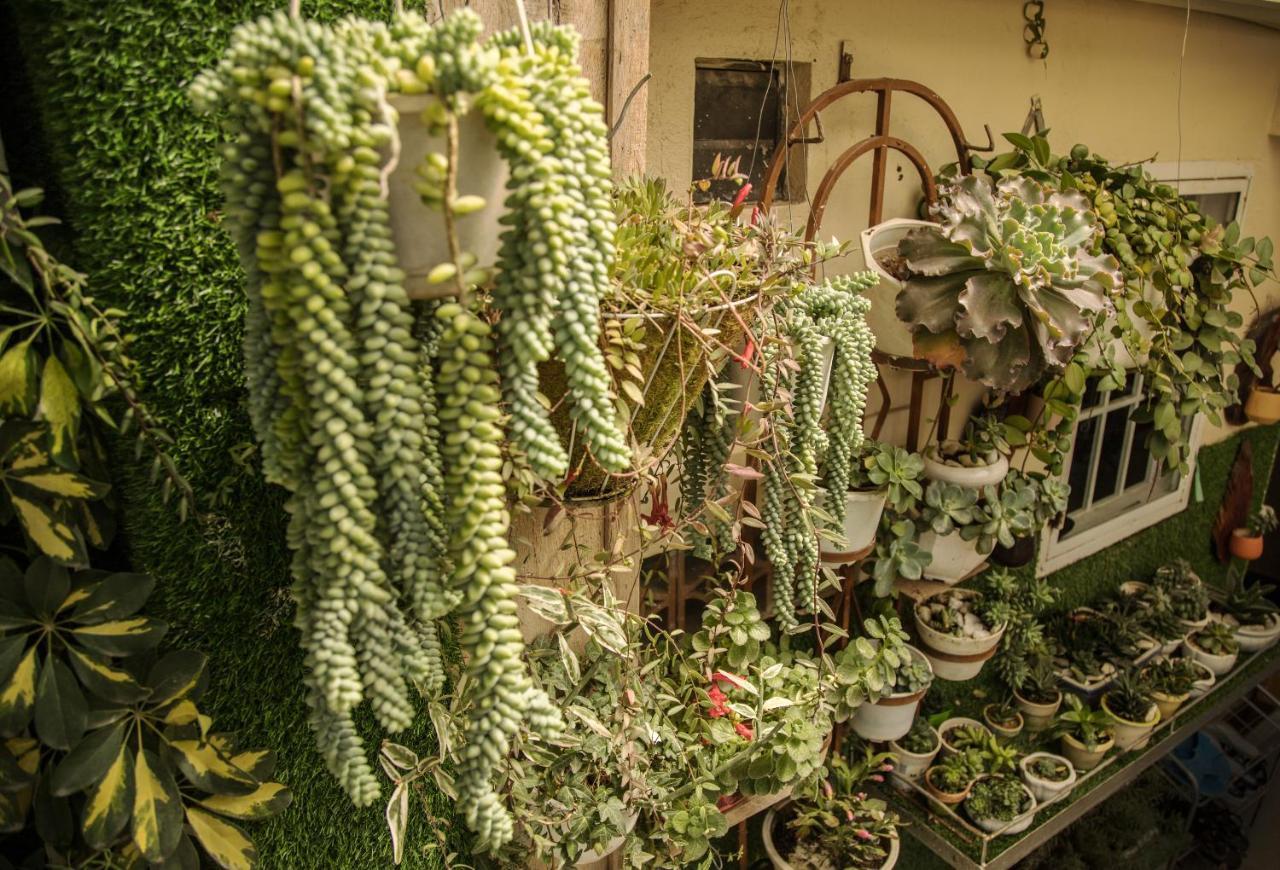 Nha Cua Nguoi Va Ta Apartment Dalat Bagian luar foto